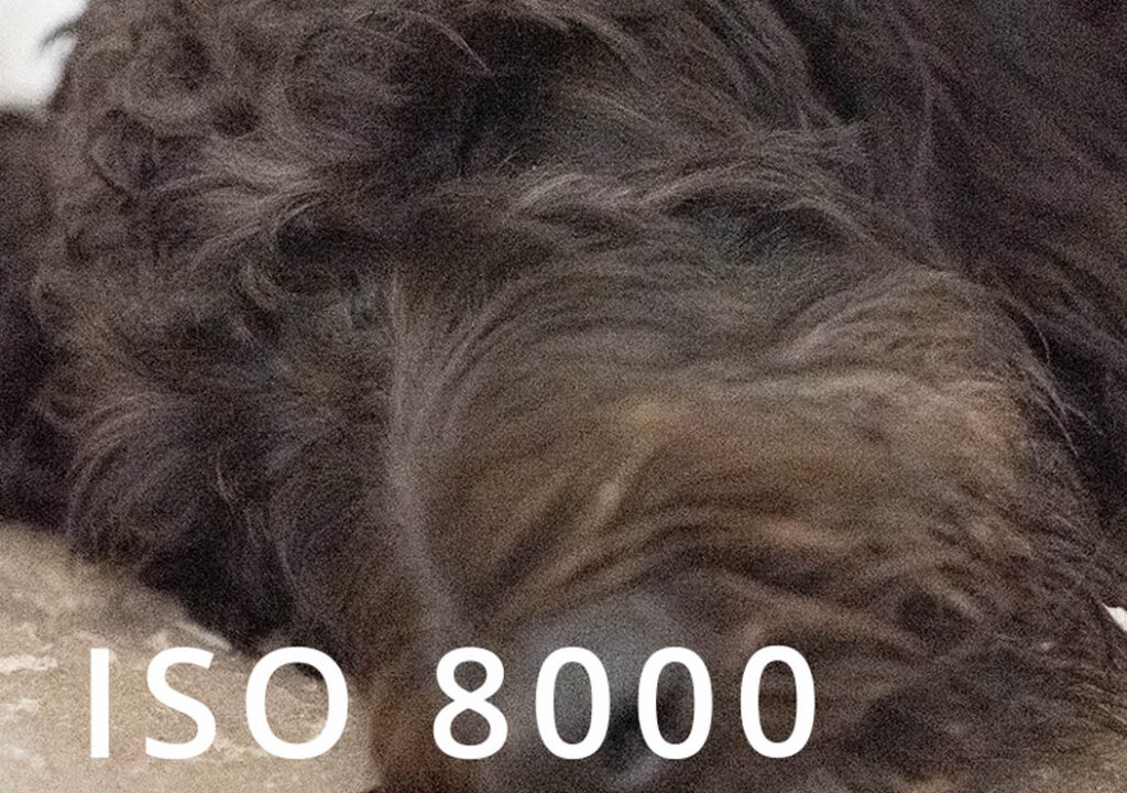 ISO 8000 sample photo of a dog's nose.